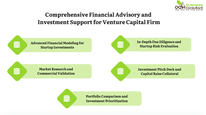 Comprehensive Financial Advisory and Investment Support for Venture Capital Firm
