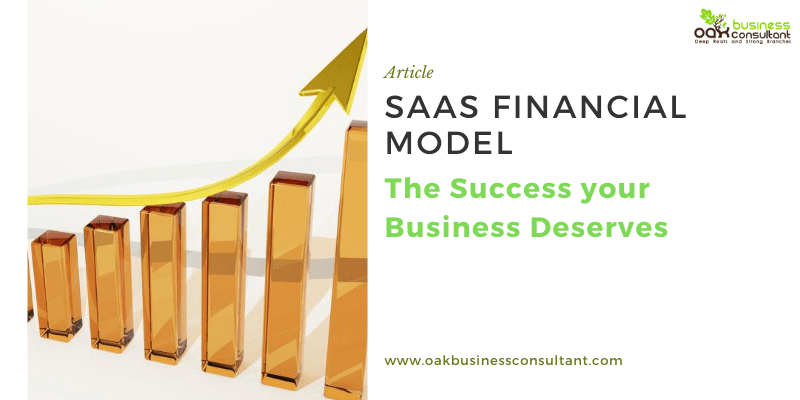 SaaS Financial Model The Success your Business Deserves