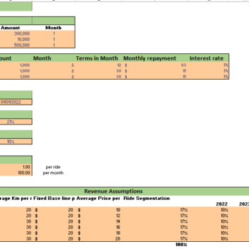 Ride Hailing Excel Financial Model - Input sheet