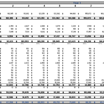 Ride Hailing Excel Financial Model- Monthly income statement