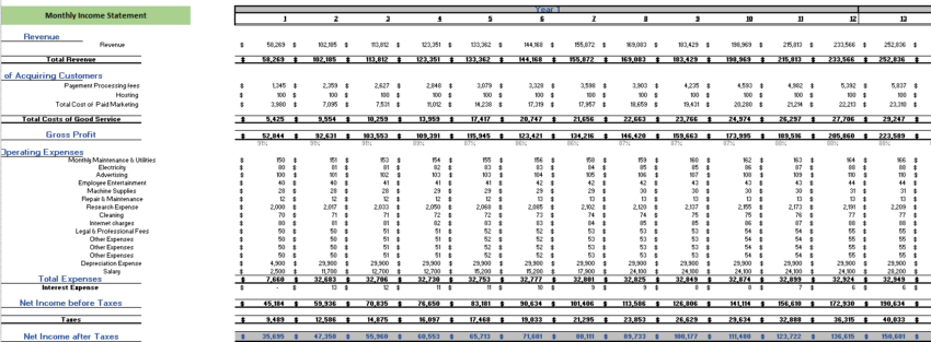 Ride Hailing Excel Financial Model- Monthly income statement
