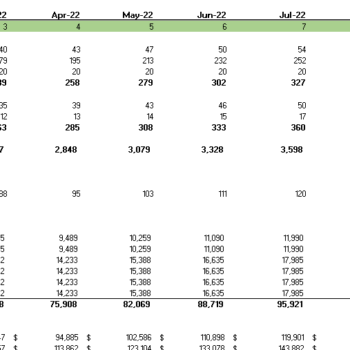 Ride Hailing Excel Financial Model - Revenue Analysis