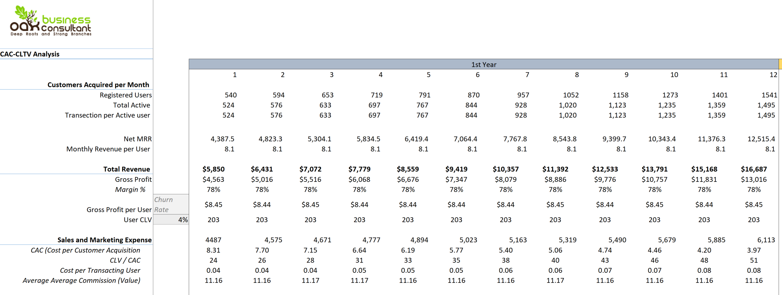 Appointment Booking Software Excel Financial Model-CAC and CLTV Analysis