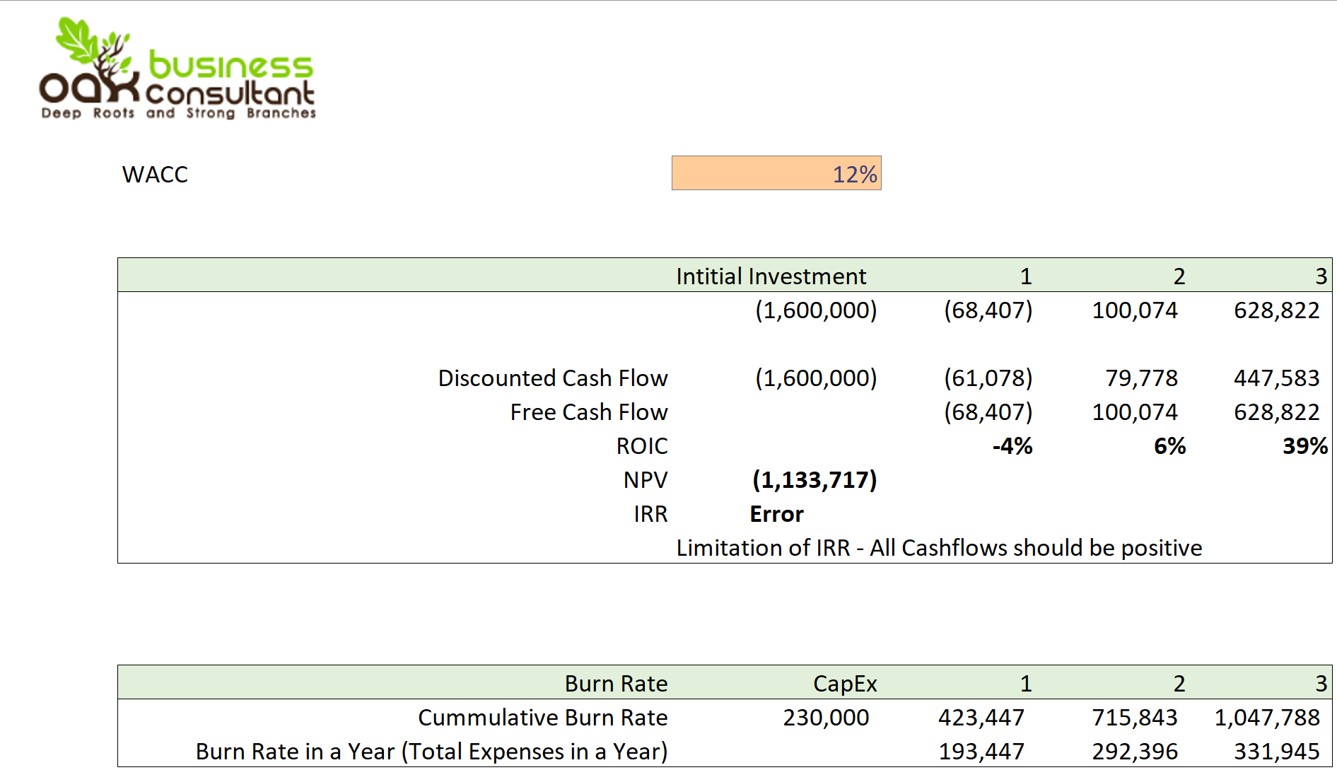 Appointment Booking Software Excel Financial Model-NPV and Project Evaluation