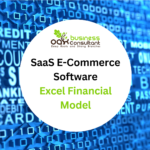 SaaS E-Commerce Software Excel Financial Model