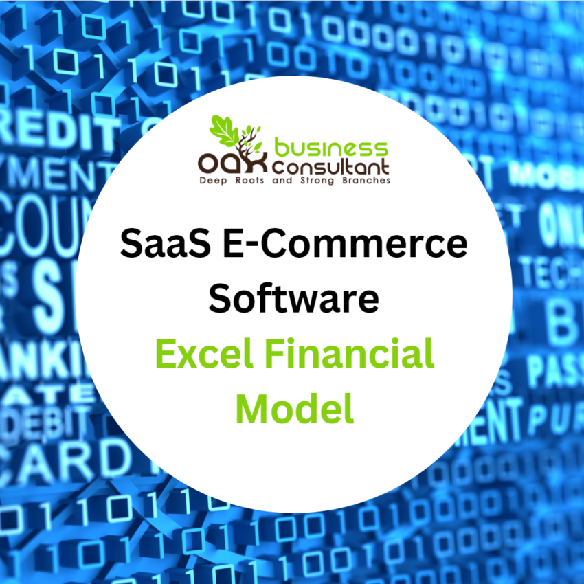 SaaS E-Commerce Software Excel Financial Model