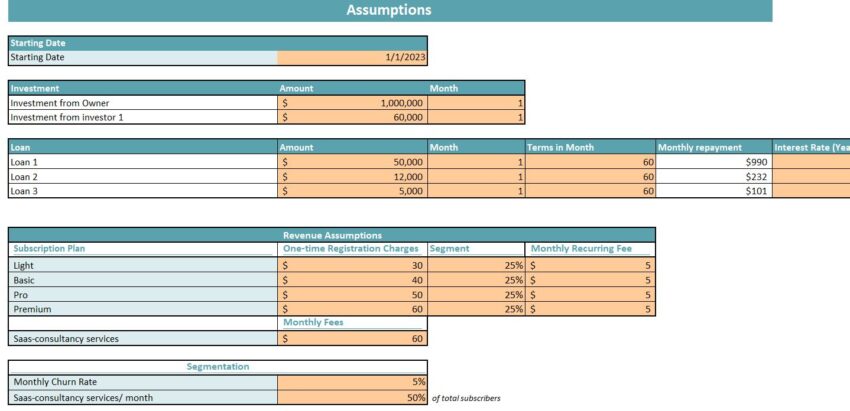 SaaS E-Commerce Software Excel Financial Model- Input Sheet