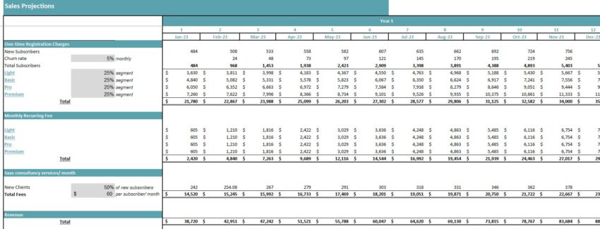 SaaS E-Commerce Software Excel Financial Model- Revenue Analysis