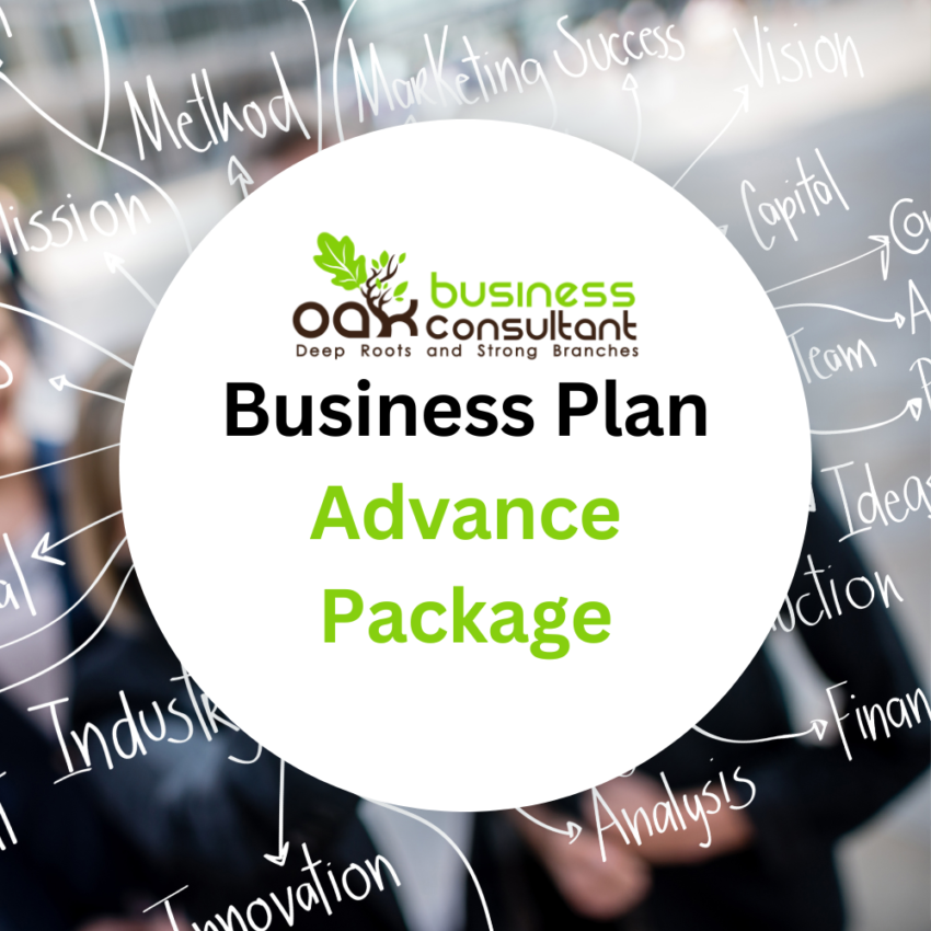 Advanced Business Plan Writer Services