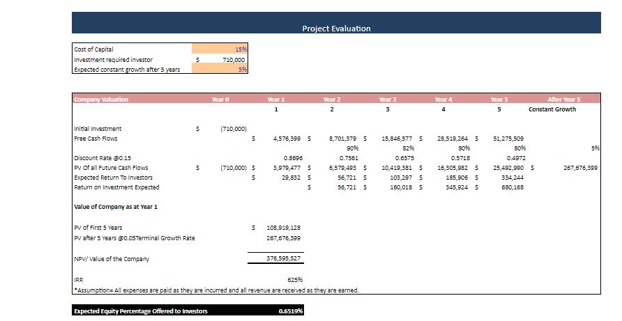 Gamification Business Excel Financial Model - Project Evaluation