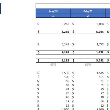 Online_Fitness_Consulting_Financial_Model- Monthly P&L
