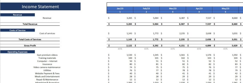 Online_Fitness_Consulting_Financial_Model- Monthly P&L