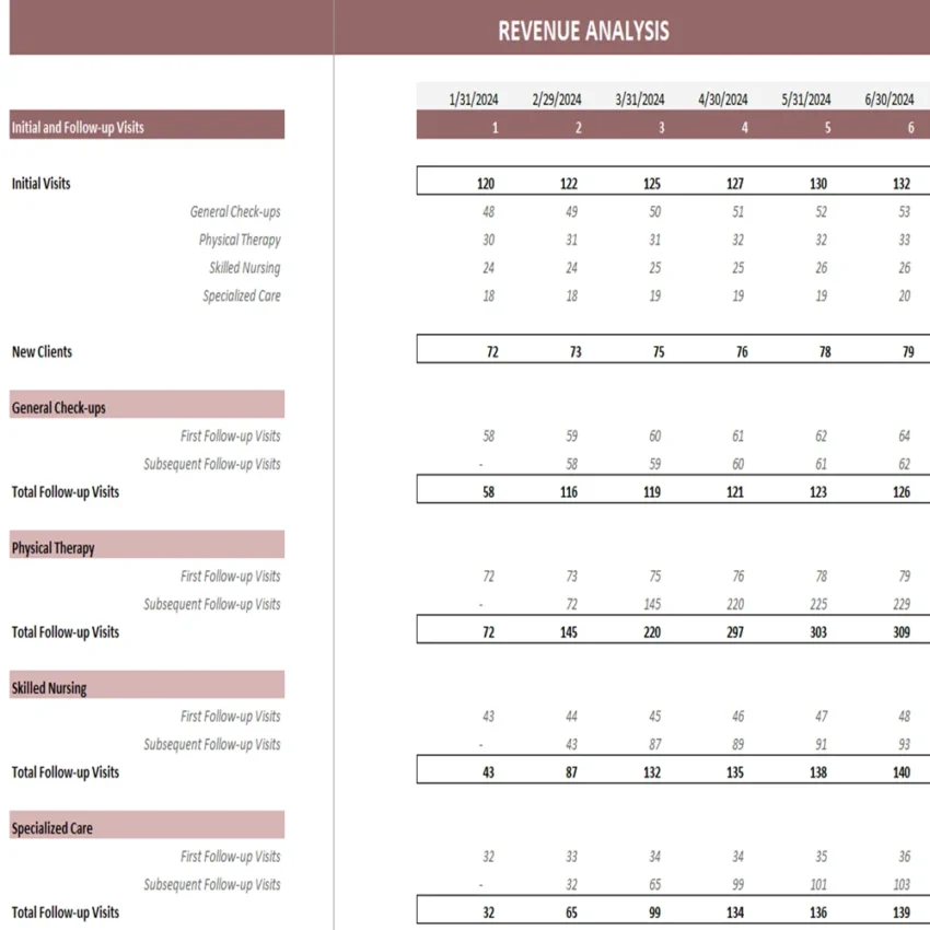 In-Home Health Care Excel Financial Model - Revenue Analysis