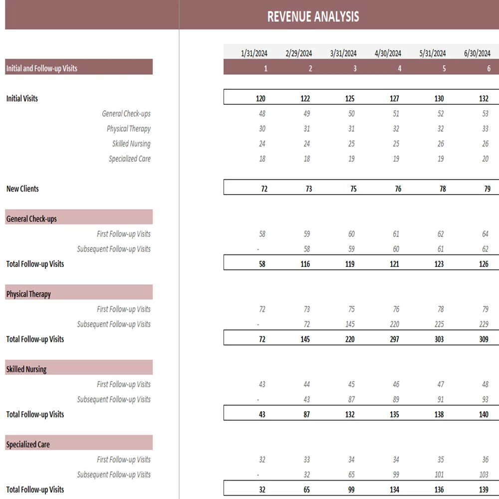 In-Home Health Care Excel Financial Model - Revenue Analysis