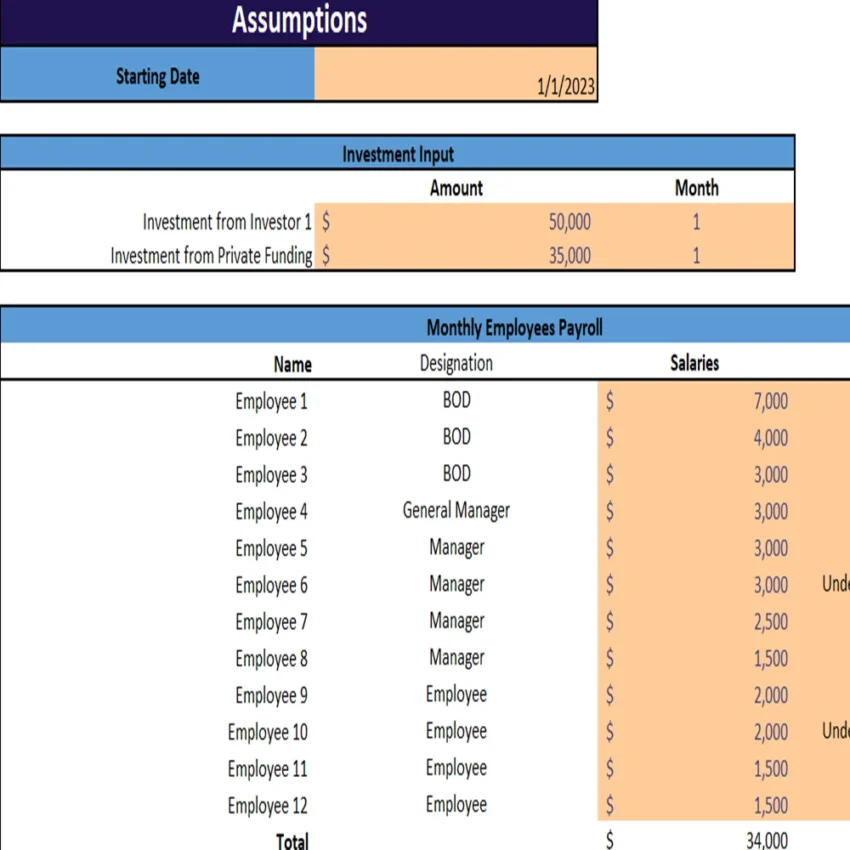 Insurance Agency Excel Financial Model-Input