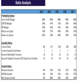 Insurance Agency Excel Financial Model-ratios