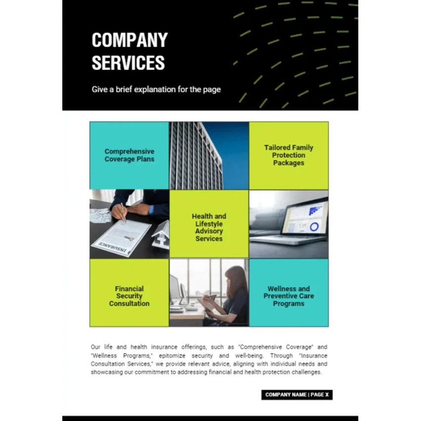 Life and Health Insurance Business Plan - Company Services