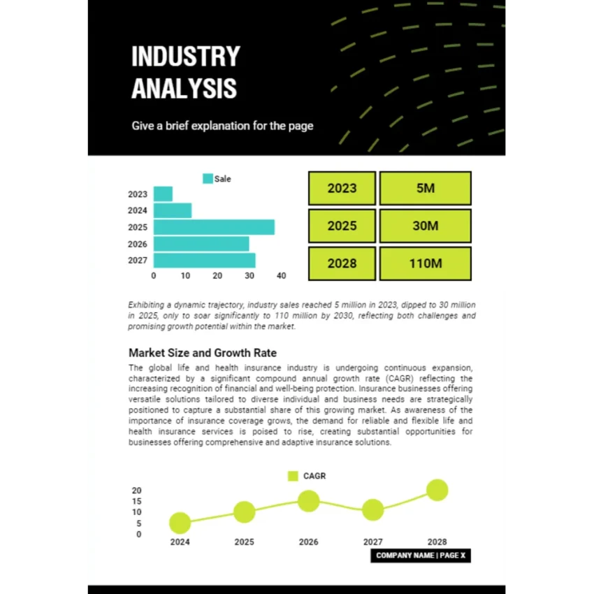 Life and Health Insurance Business Plan - Industry Analysis