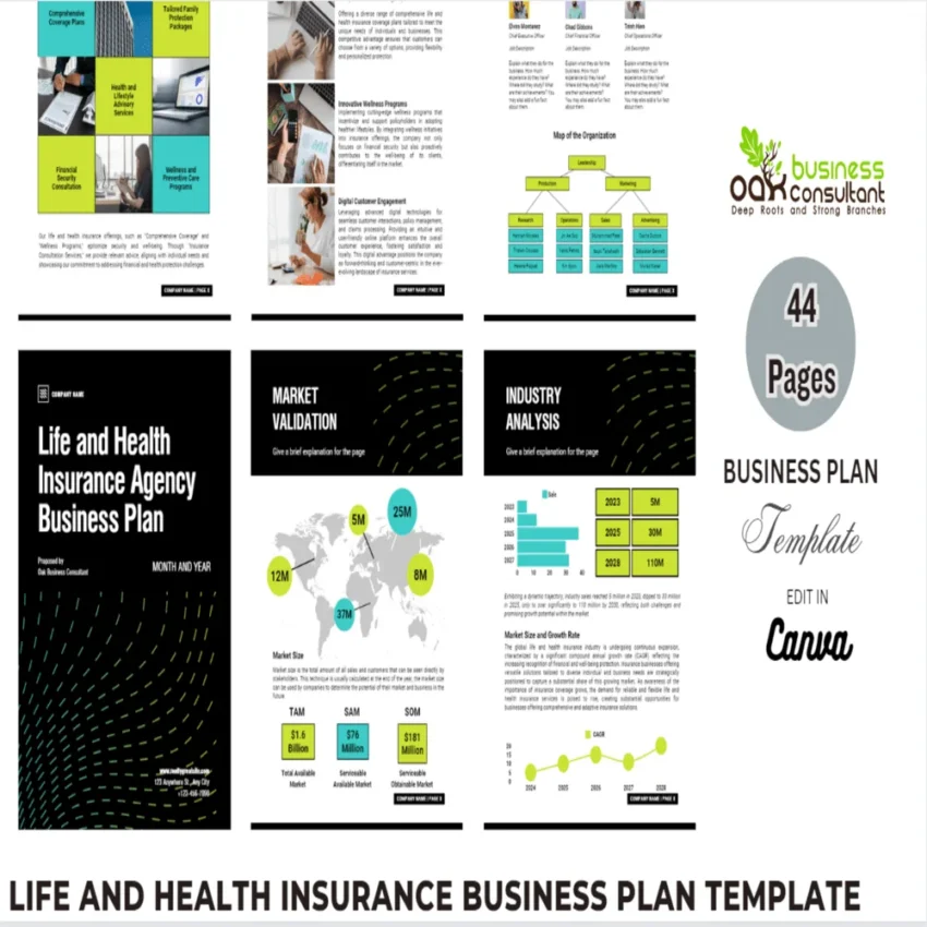 Life and Health Insurance Business Plan - Product Image