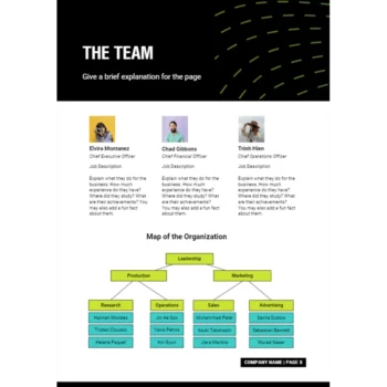 Life and Health Insurance Business Plan - The Team