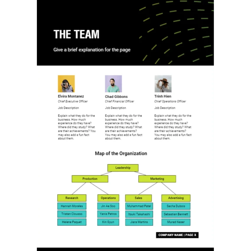 Life and Health Insurance Business Plan - The Team