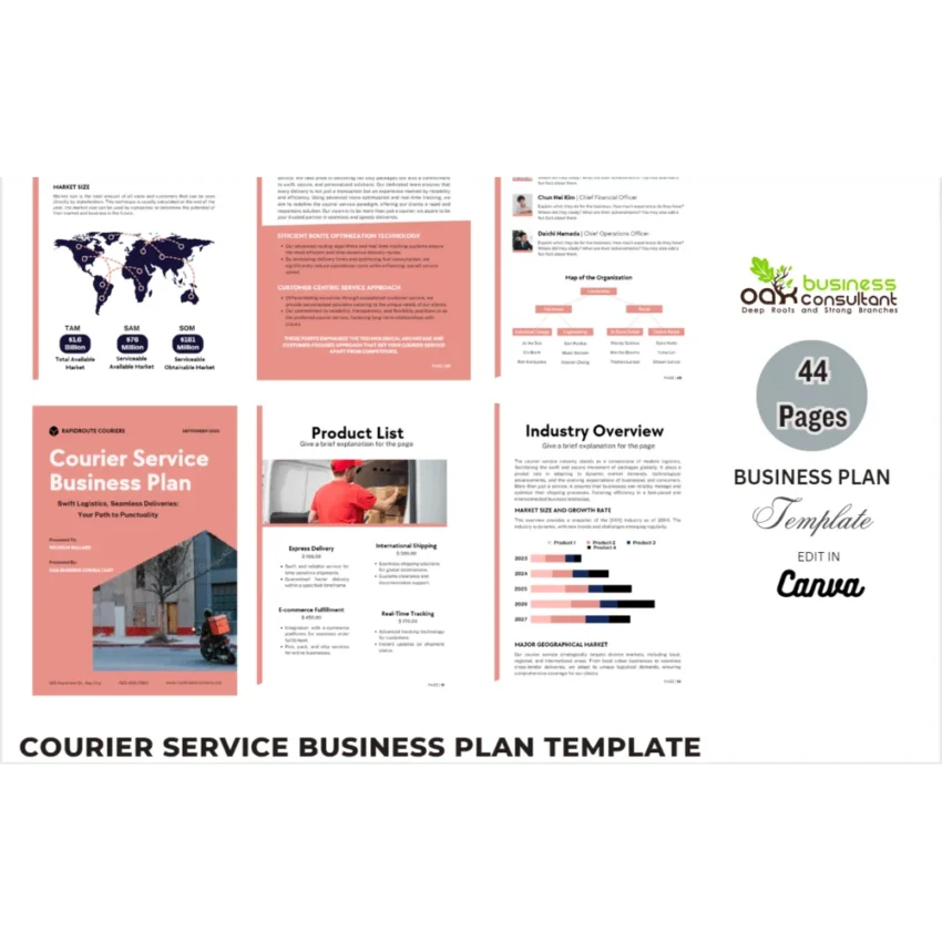 Courier Service Business Plan - Product Image