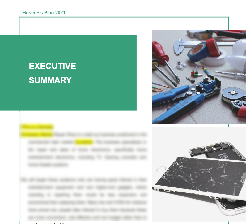 Electronic Repair Business Plan - Executive Summary