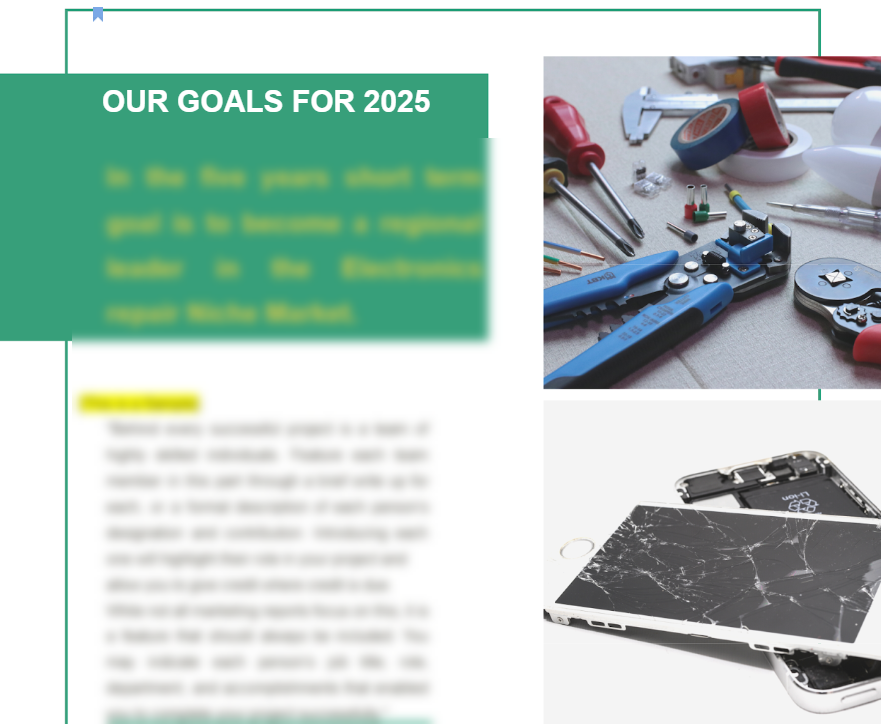 Electronic Repair Business Plan - Future Plans