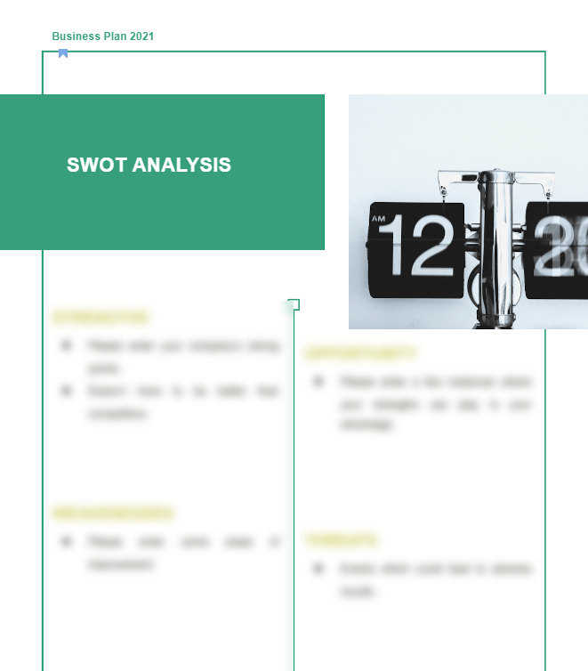 Electronic Repair Business Plan - Swot Analysis