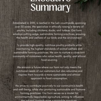 Meat Shop Business Plan Template - Executive Summary