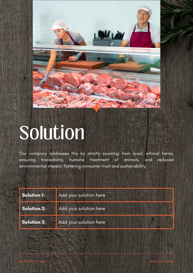 Meat Shop Business Plan Template - Solution