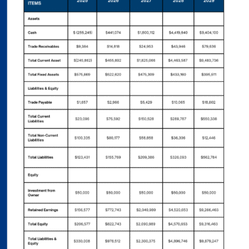 Balance Sheet