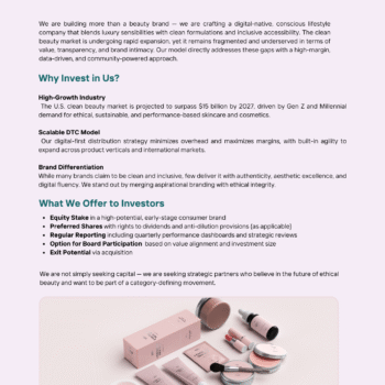 Online Cosmetic Store Business Plan Template - Investor Apeal