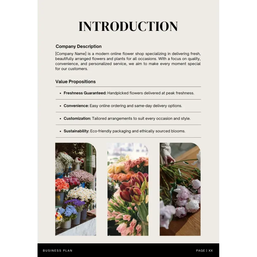 Business Introduction