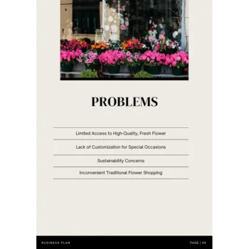 Online Flower Shop Business Plan Template - Problems
