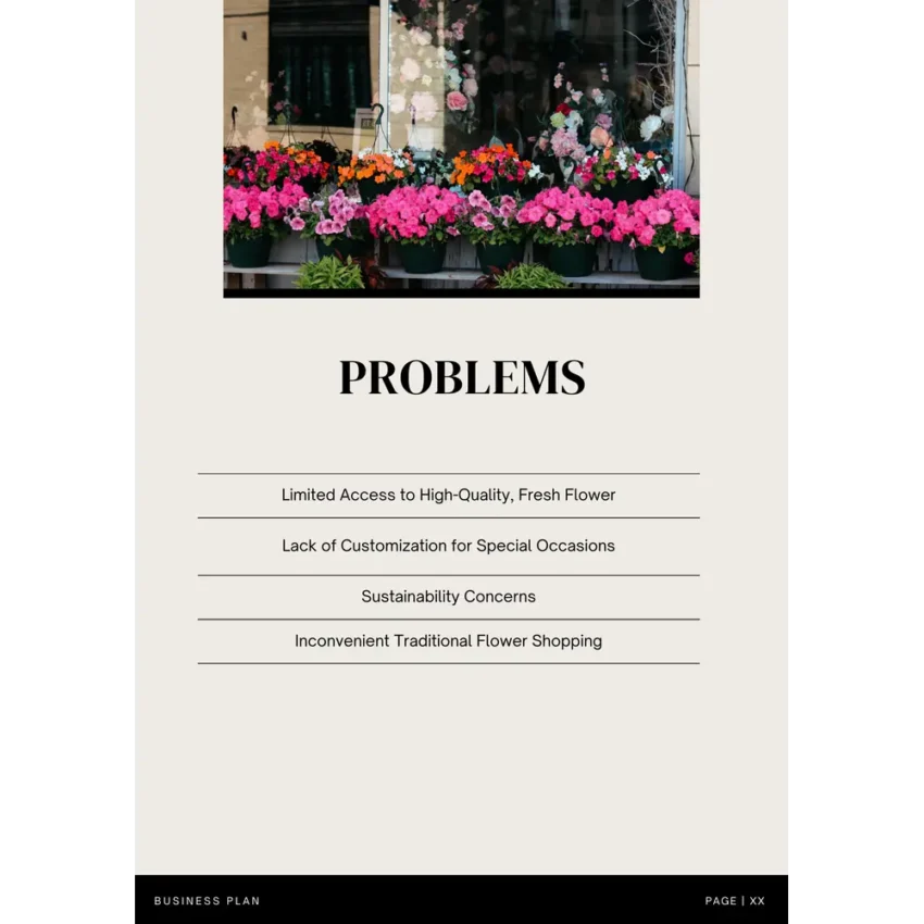 Online Flower Shop Business Plan Template - Problems