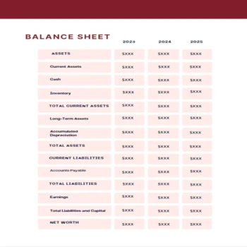Online Travel Agency Business Plan-Balance Sheet