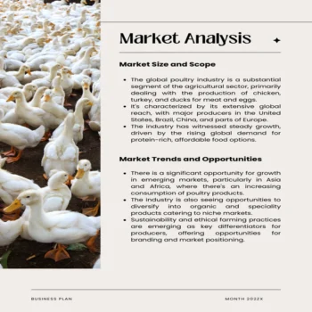 Poultry Farm Business Plan - Market Analysis