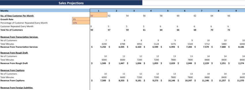 Transcription Services Financial Model