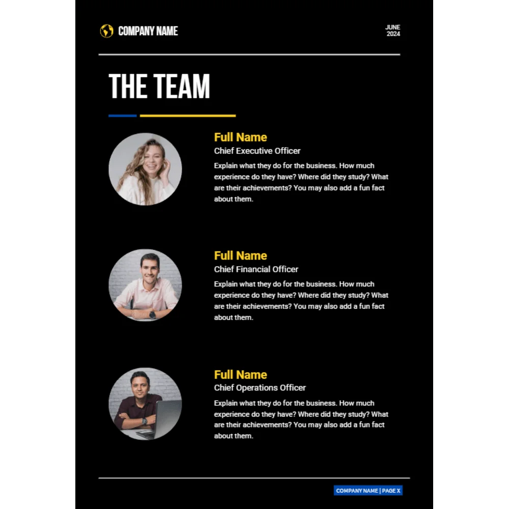 Web Designing Business Plan - The Team