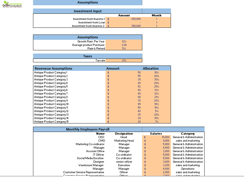 Antique Shop Excel Financial Model Input Sheet