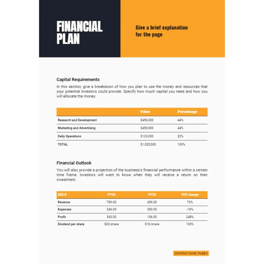 CRM Software Business Plan - Financial Plan