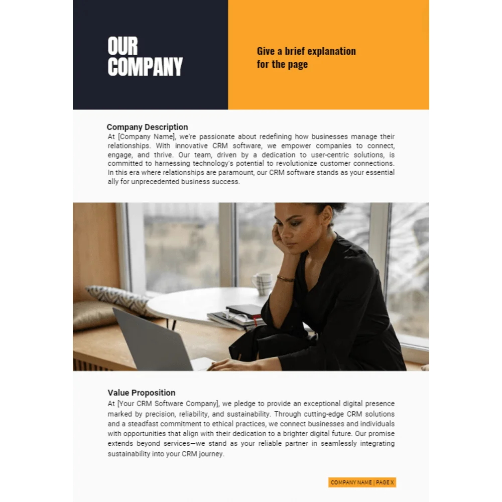 CRM Software Business Plan - Our Company