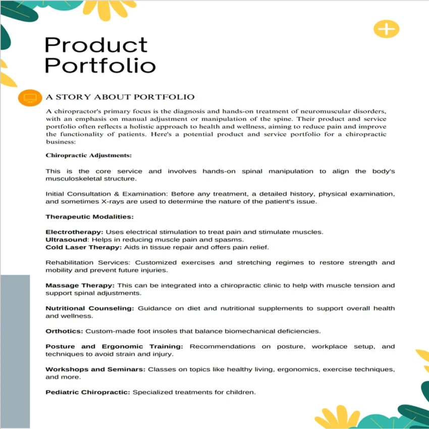 Chiropractor Business Plan Template-Product portfolio
