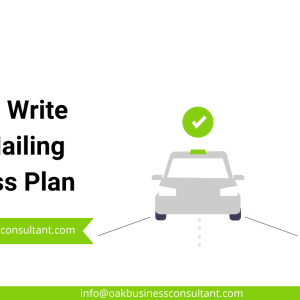 How to Write Ride-Hailing Business Plan