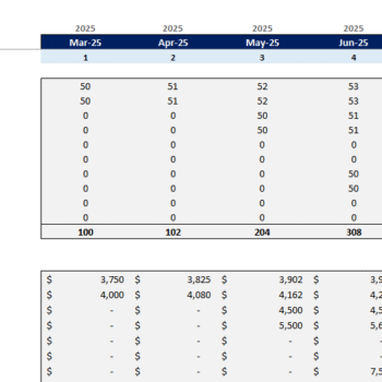 Cleaning Services Financial Model - Revenue Analysis