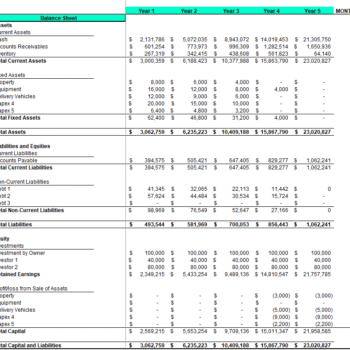 Balance Sheet