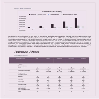 Governess Business Plan Template-Financial Plan