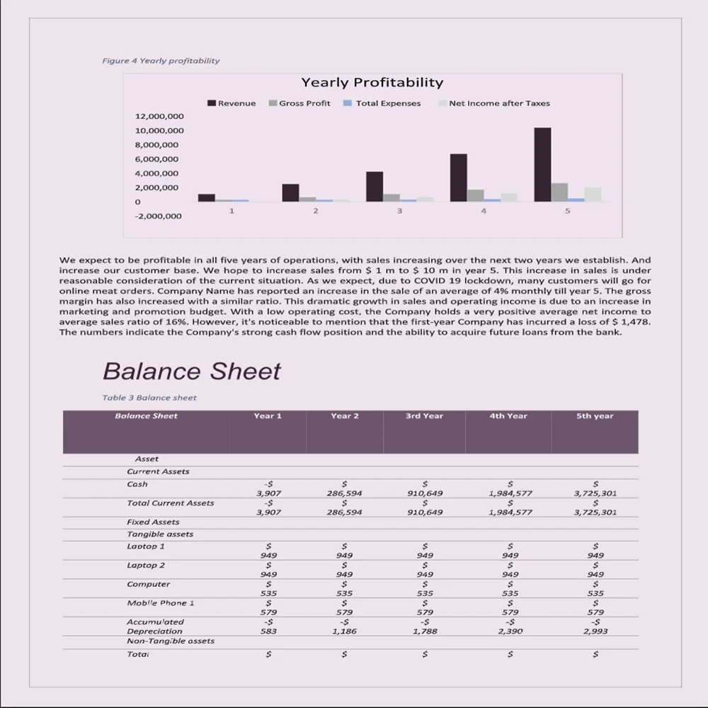 Governess Business Plan Template-Financial Plan