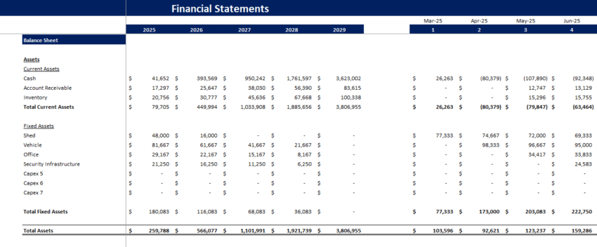 Poultry Farm Financial Model - Balance Sheet
